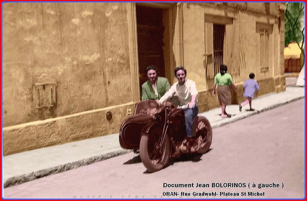 Oran- SDV- 3402- Bolorinos.jpg